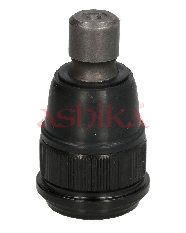 Pivot ASHIKA 73-03-332