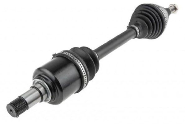 Planetara MTR 12192010