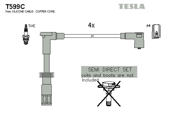 Set cablaj aprindere TESLA T599C