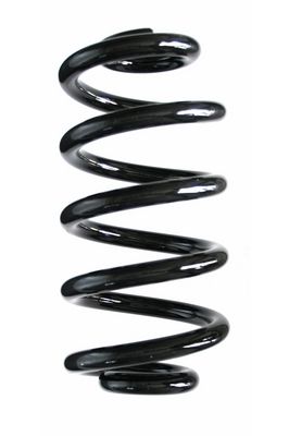 Arc spiral SPIDAN 87098