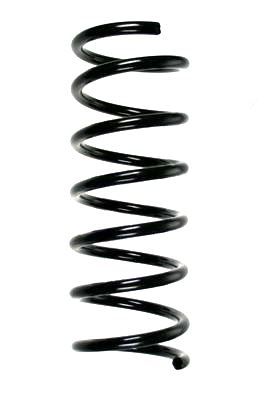 Arc spiral SPIDAN 85870