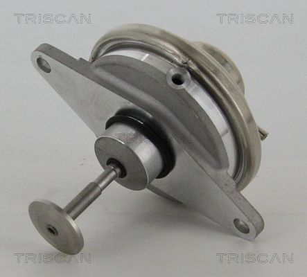 Levně AGR-Ventil TRISCAN 8813 24054