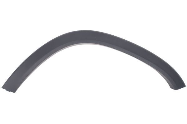 Ehis-/kaitseliist,Poritiib