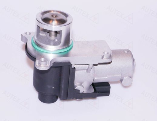 Zawór AGR AUTEX 959195