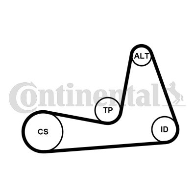 Zestaw paska klinowego wielorowkowego CONTINENTAL CTAM 6PK1130K1
