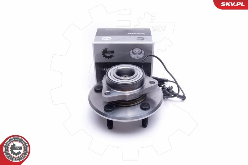 Set rulment roata ESEN SKV 29SKV308