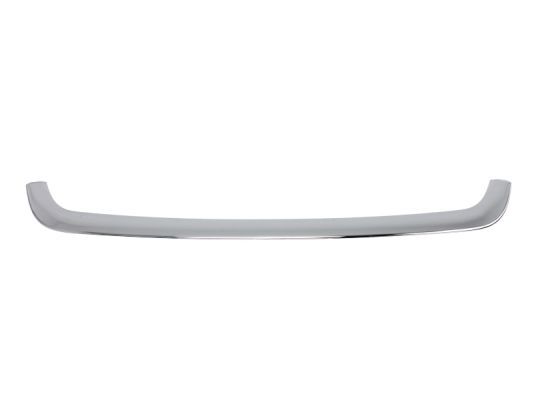 Ehis-/kaitseliist,Grill