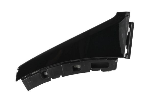 Ehis-/kaitseliist,Poritiib