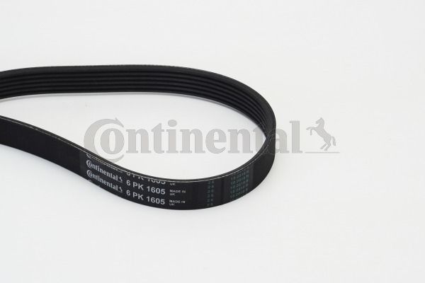 Pasek klinowy wielorowkowy CONTINENTAL CTAM 6PK1605