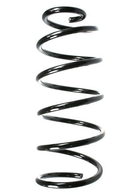 Arc spiral SPIDAN 49550