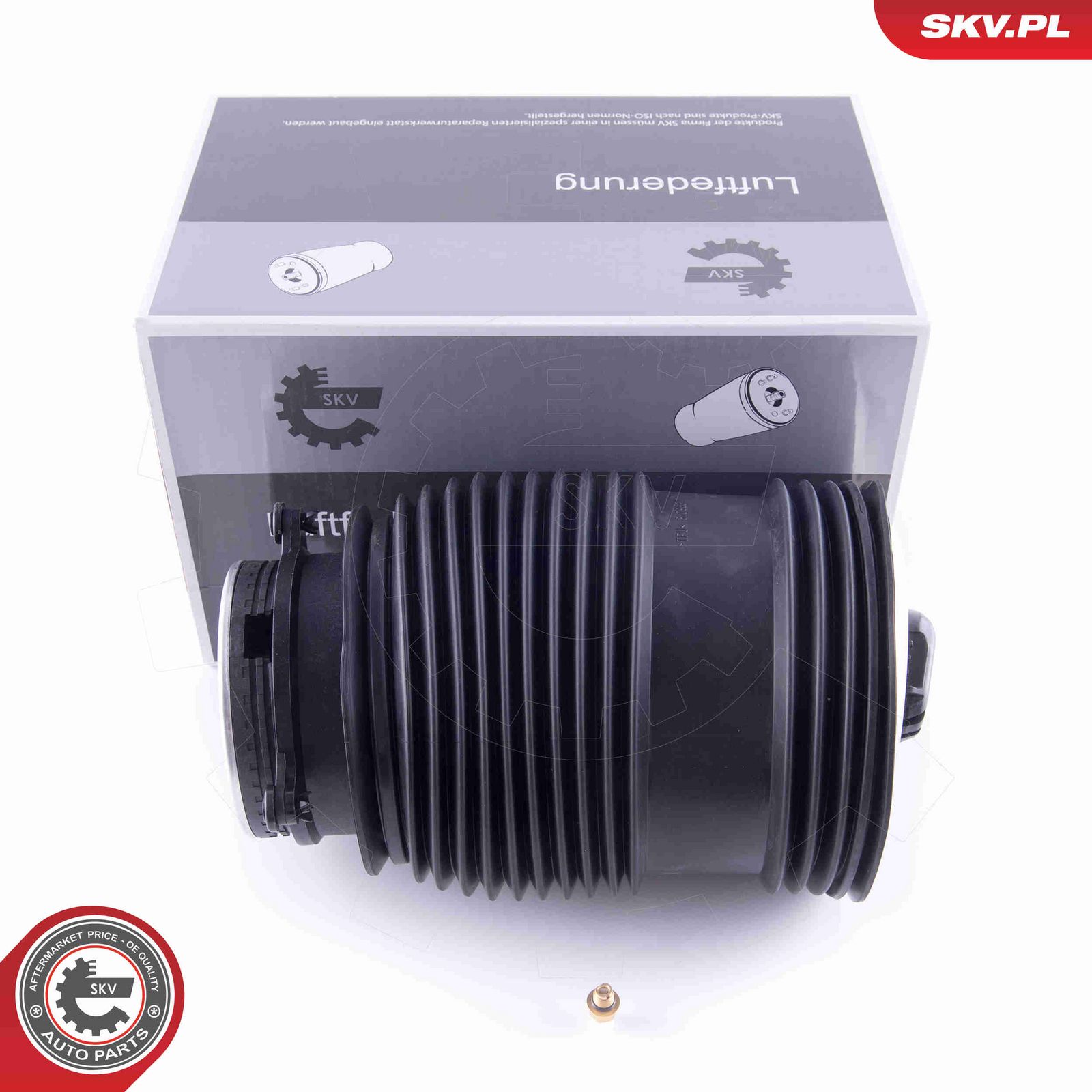 Pneimoatspere, Balstiekārta