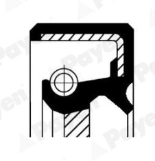 Pierścień uszczelniający wału, wał skrzyni biegów PAYEN NJ617