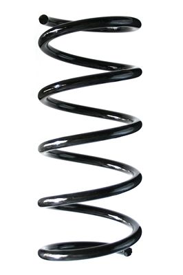 Arc spiral SPIDAN 85560