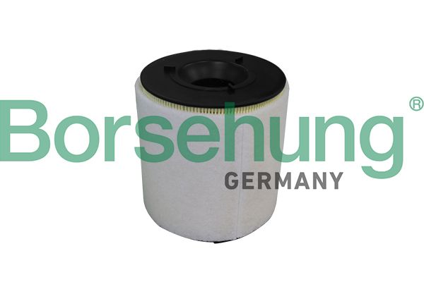 Filtr powietrza BORSEHUNG B10539