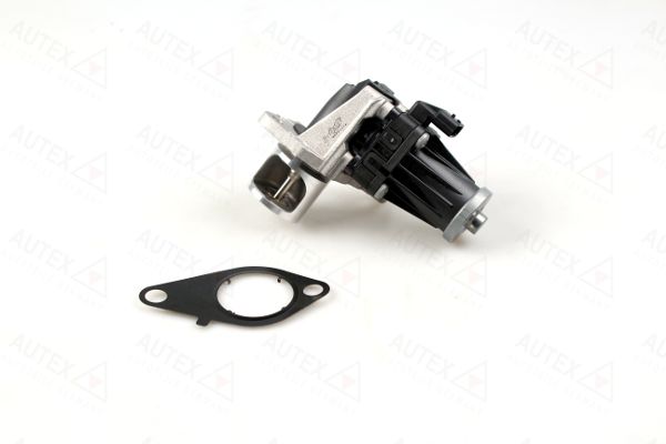 Zawór AGR AUTEX 959557