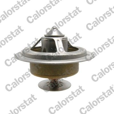 termostat,lichid racire CALORSTAT by Vernet TBS1002.82