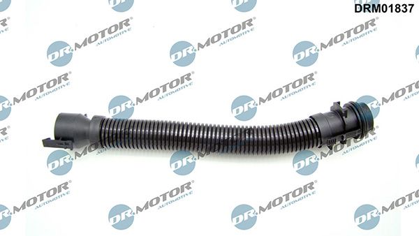 Tuyau, ventilation de carter-moteur