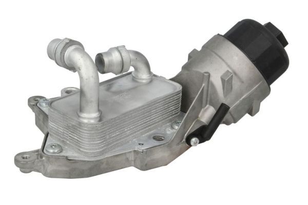 Radiator ulei, ulei motor THERMOTEC D4X024TT