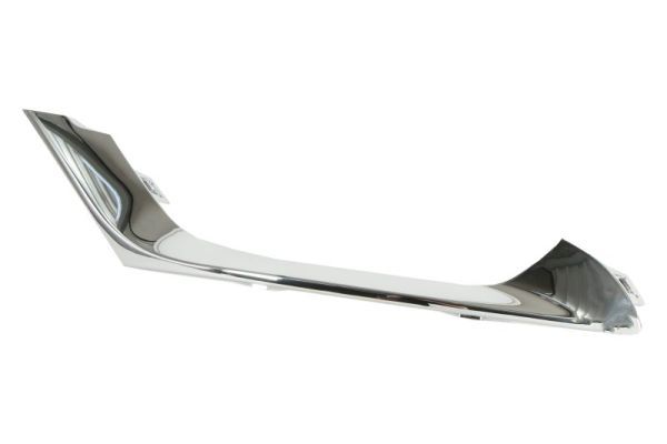 Ehis-/kaitseliist,Põrkeraud