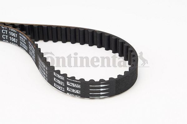 Pasek rozrządu CONTINENTAL CTAM CT1067
