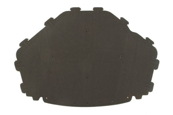 Изоляция моторного отделения