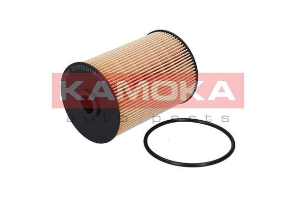 Palivový filtr KAMOKA F307801