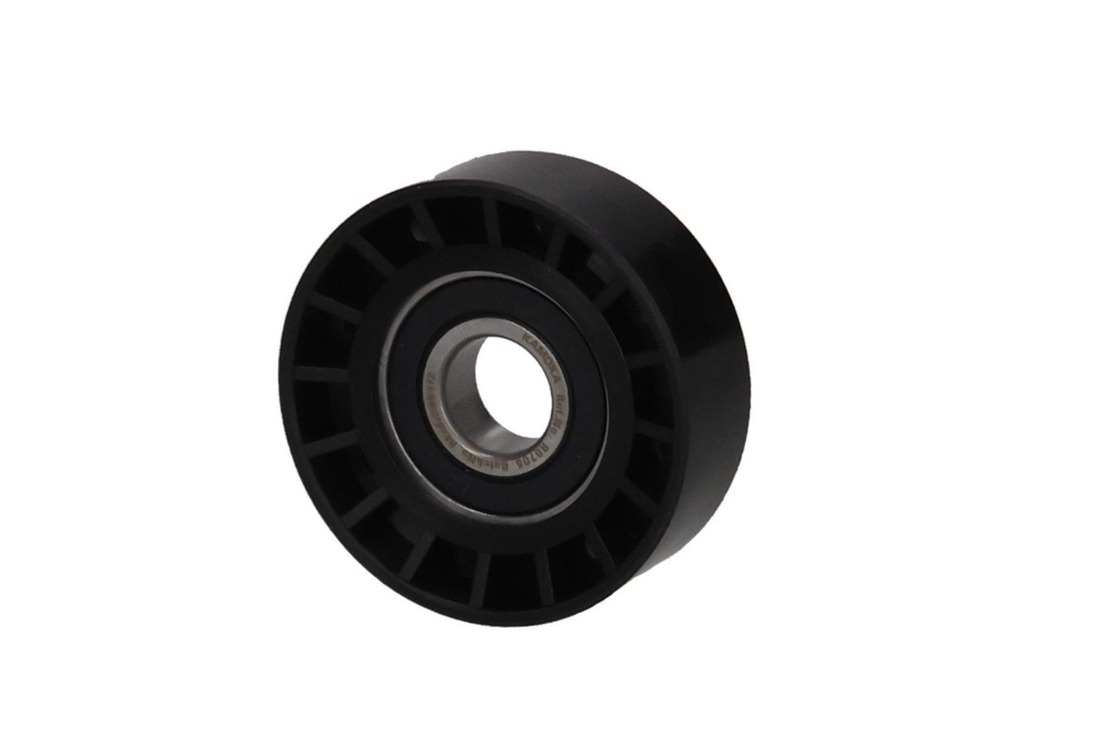 Parazīt-/Vadrullītis, Ķīļsiksna