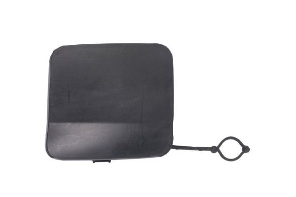 acoperire tampon,sistem de remorcare BLIC 5513-00-1605920P