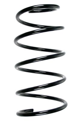 Arc spiral SPIDAN 49775