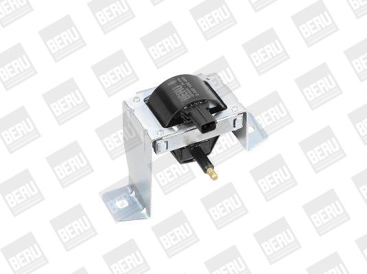 Levně Zapalovací cívka BorgWarner (BERU) ZS469
