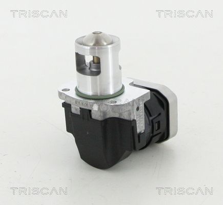 Zawór AGR TRISCAN 8813 23025