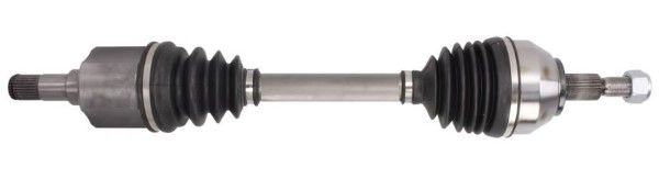 Planetara MTR 12192030