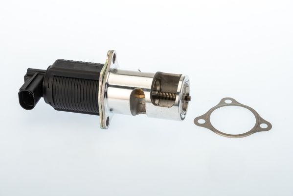 AGR / EGR - ventil BorgWarner (Wahler) 710950D/1