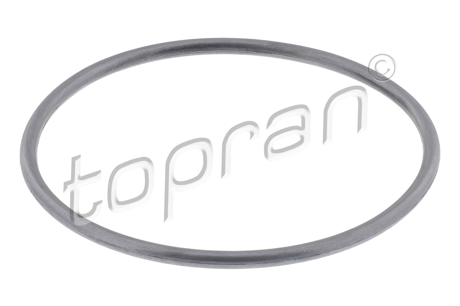 Garnitura, pompa de apa TOPRAN 100 572