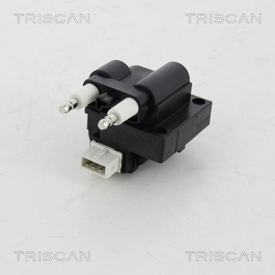 Cewka zapłonowa TRISCAN 8860 25014