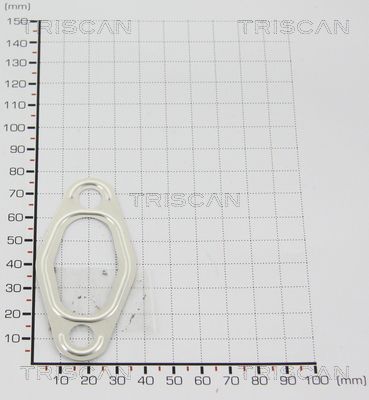 Garnitura TRISCAN 8813 9969