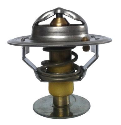 termostat,lichid racire THERMOTEC D2CU002TT