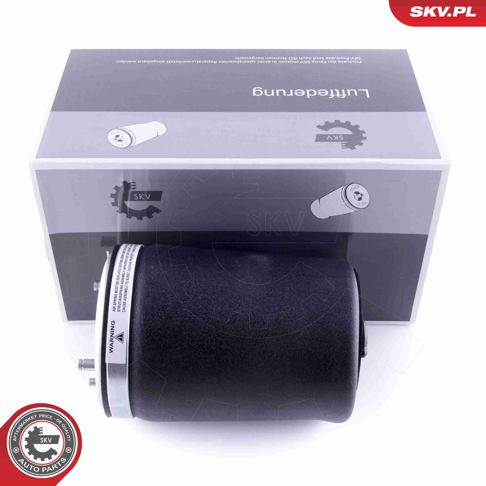 Pneimoatspere, Balstiekārta