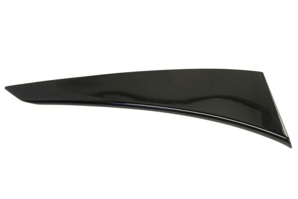 Elemente decorative/protectie, panou lateral BLIC 5703-04-8115571P