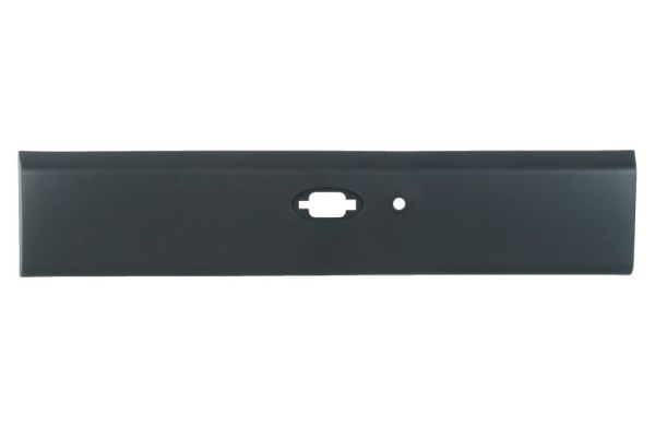 Elemente decorative/protectie, panou lateral BLIC 5703-06-6089574SP