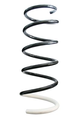 Arc spiral SPIDAN 86723