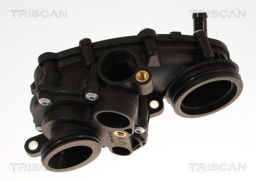 Termostat, płyn chłodzący TRISCAN 862060387