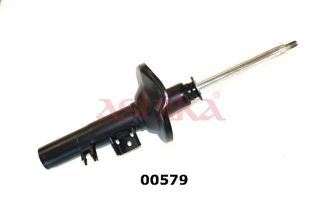 ASHIKA MA00579