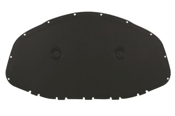 Изоляция моторного отделения