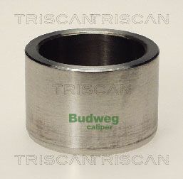 Tłoczek, zacisk hamulca TRISCAN 8170 234602