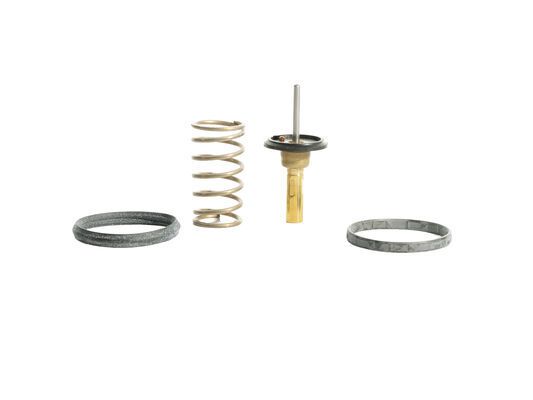 termostat,lichid racire MAHLE BEHR TX 497 82D
