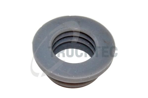 Blīve, Kartera ventilācija