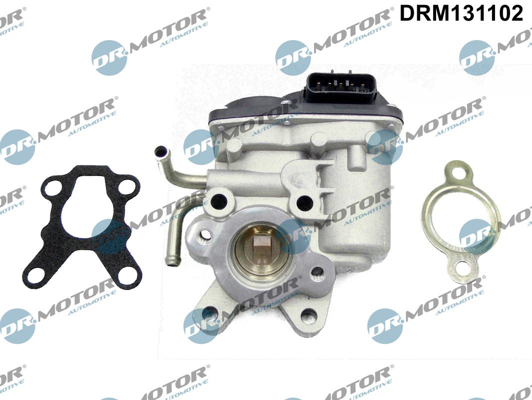 Dr.Motor Automotive EGR-klep  DRM131102