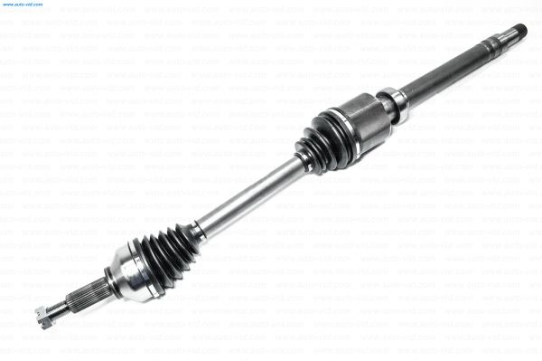 Planetara MTR 12164818