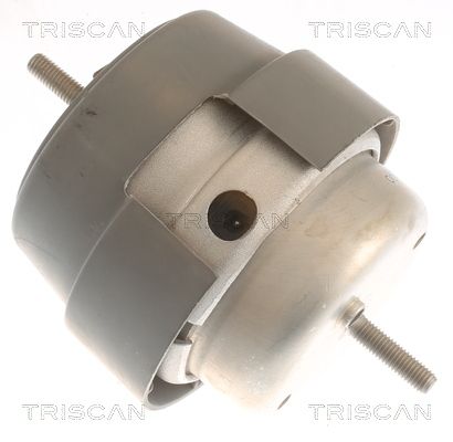 Suport motor TRISCAN 8505 29169